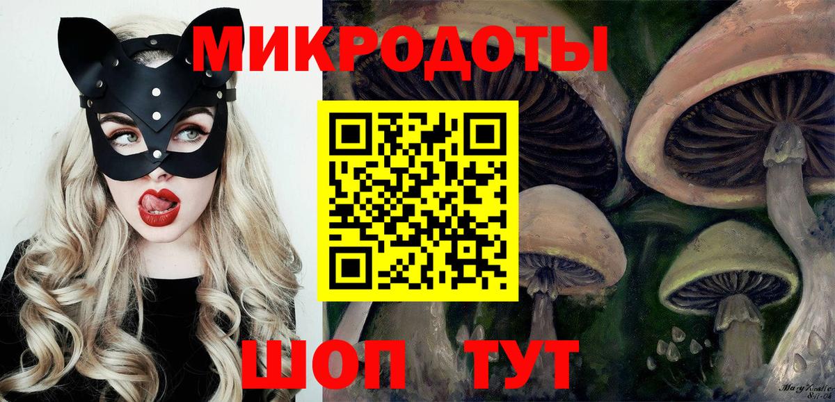 Псилоцибиновые грибы Cubensis Добрянка