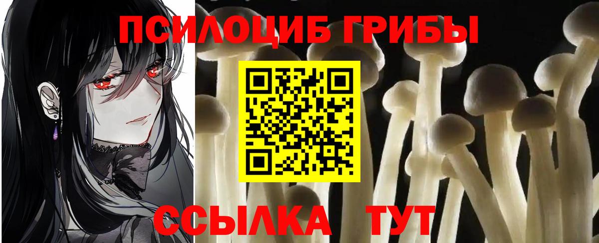  COCAIN Добрянка